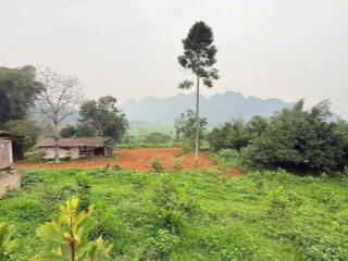 BÁN CẮT LỖ 4100M LƯƠNG SƠN GIÁ CHỈ 3.X TỶ VIEW CÁNH ĐỒNG