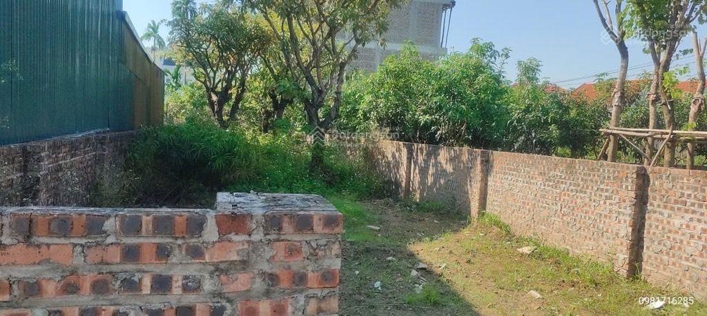 Bán đất tại xã tân tiến, văn giang, hưng yên, 4,95 tỷ , 160m2, đẹp, ô tô tránh, giá đầu tư