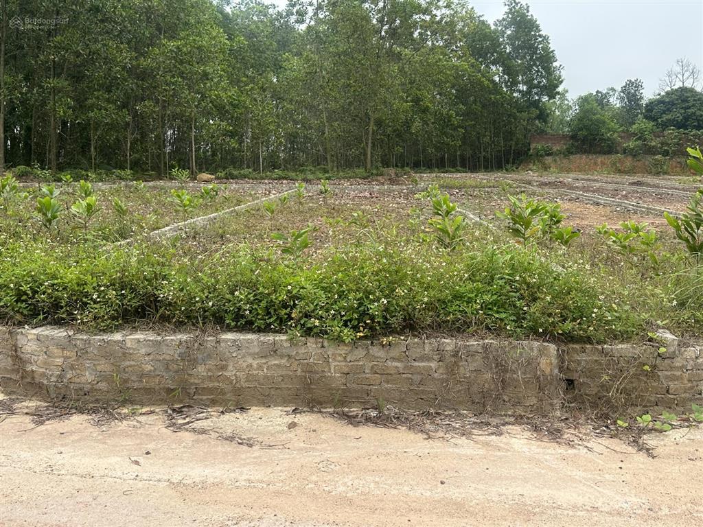 Bán đất tại thôn lai sơn, xã trung giã, huyện sóc sơn, 1,2 tỷ, 125m2, đẹp, ô tô chạy vòng quanh