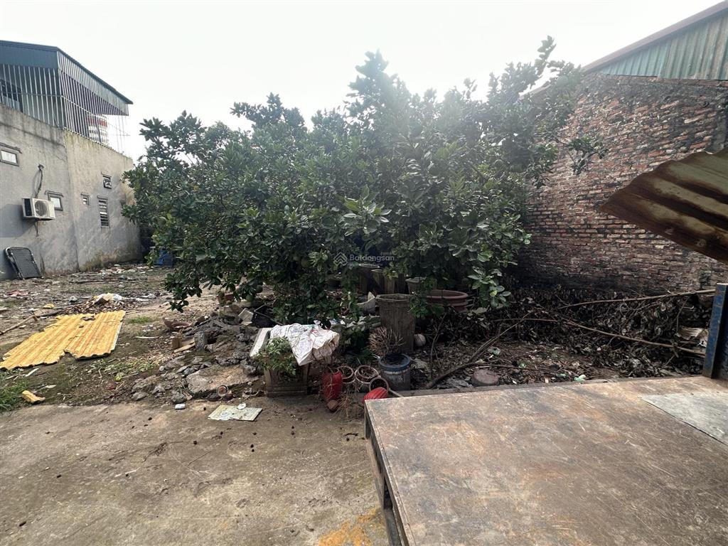 Bán đất tại thôn đan kim, xã liên nghĩa, huyện văn giang, giá chỉ với 3,85 tỷ, 100m2, mặt tiền 6m