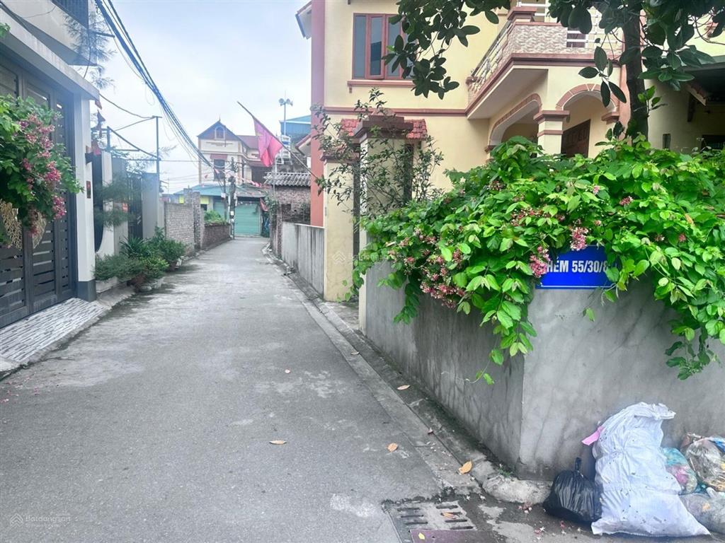 Bán đất tại giáp hải, 4,5 tỷ, 55m2, mặt tiền 4,6m, ngõ 3m, full thổ, mặt tiền rộng, giáp ecopark