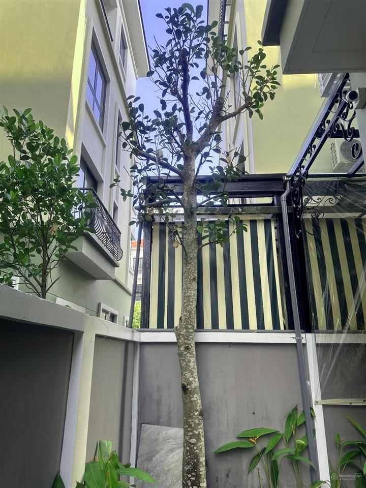 Chính chủ bán biệt thự song lập 120m2 trung tâm khu san hô, sát hồ tạo sóng, chung cư, công viên.