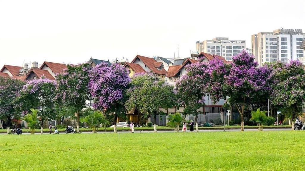 Bán đất đấu giá việt hưng, ô tô tránh, vỉa hè, 85m2, mặt tiền 5m, giá nhỉnh 24 tỷ