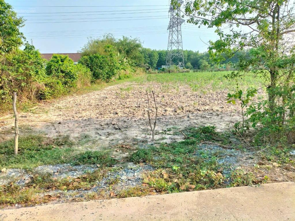 Chính chủ bán đất mặt kênh nhuận đức. dt 10038m² có 2.000m² thổ cư. phù hợp làm nhà vườn nghỉ dưỡng