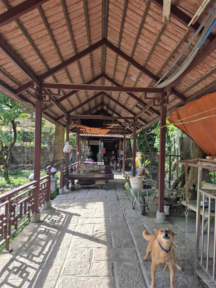 Siêu phẩm biệt thự gỗ sân vườn 2.320m2 2 mặt tiền nhựa hiếm có tại hóc môn