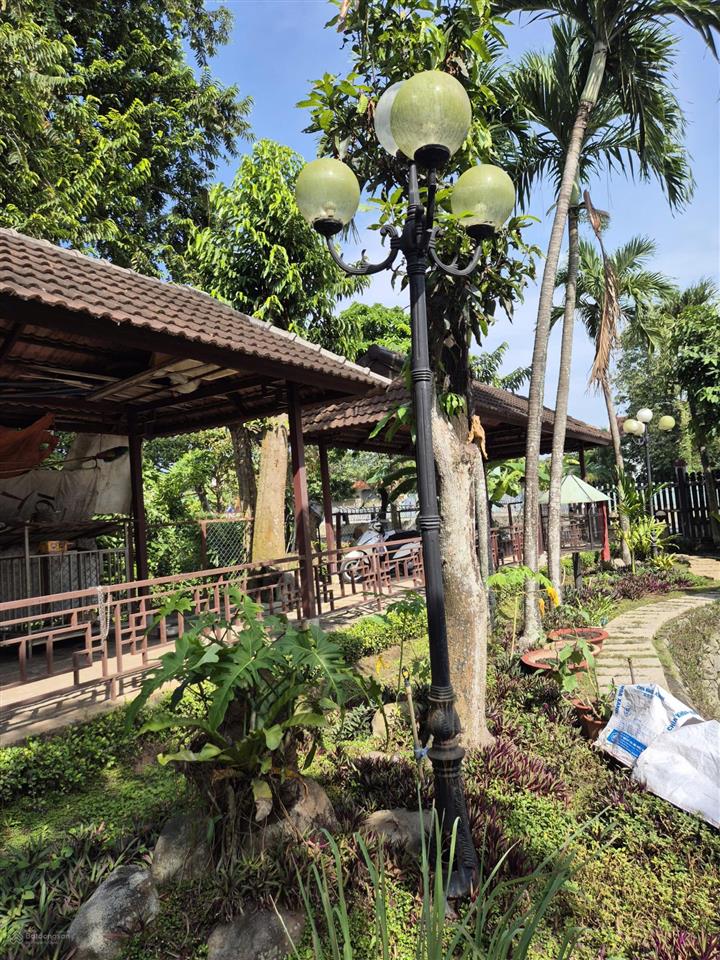 Siêu phẩm biệt thự gỗ sân vườn 2.320m2 2 mặt tiền nhựa hiếm có tại hóc môn