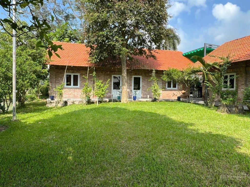 Chủ gửi bán gấp nhà vườn nghỉ dưỡng phước hiệp, củ chi (xã mới tân an hội), diện tích 1,05 hecta