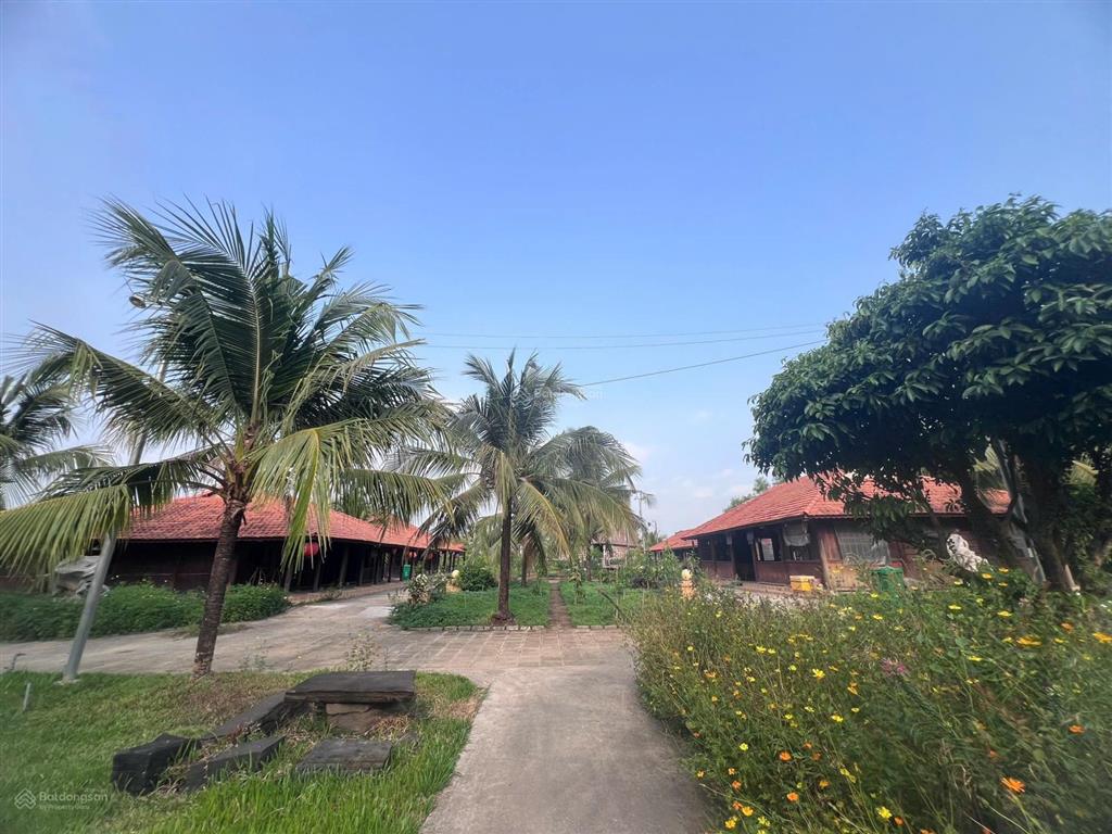 Chủ gửi bán gấp nhà vườn nghỉ dưỡng phước hiệp, củ chi (xã mới tân an hội), diện tích 1,05 hecta