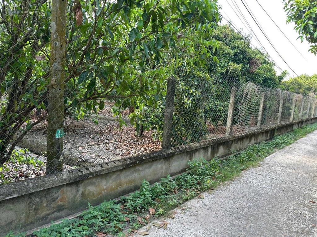 Bán đất vườn trung an củ chi, diện tích 2.989,2m2, trong đó 2.935,5m2 thổ, sở hữu 2 mặt tiền.