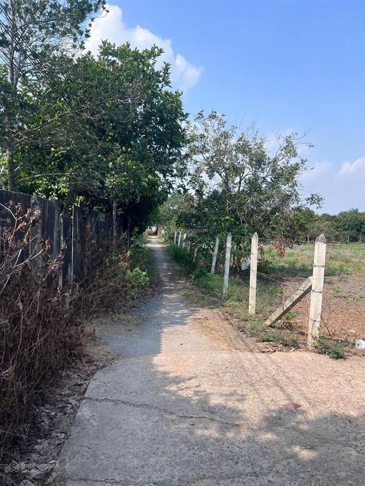 Bán đất vườn trung an củ chi, diện tích 2.989,2m2, trong đó 2.935,5m2 thổ, sở hữu 2 mặt tiền.