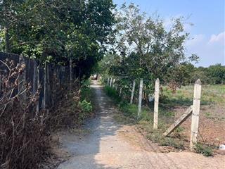 Bán đất vườn trung an củ chi, diện tích 2.989,2m2, trong đó 2.935,5m2 thổ, sở hữu 2 mặt tiền.