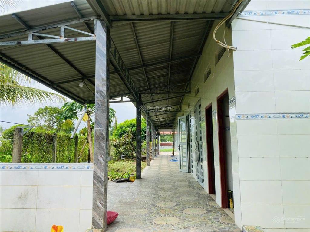 Bán nhà vườn an phú, củ chi diện tích 975m2 giá 5,5 tỷ