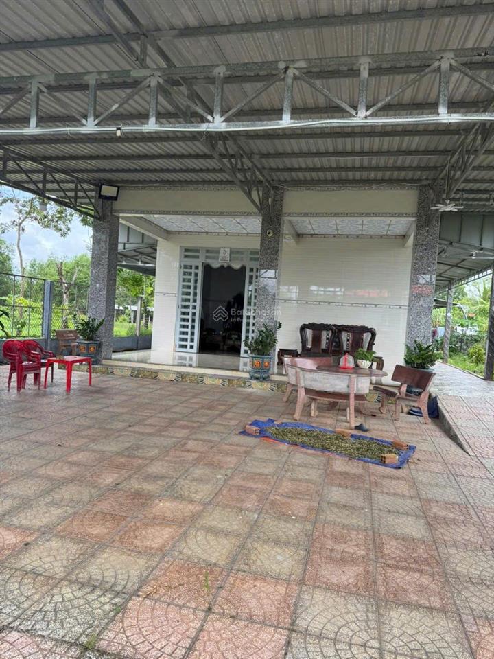 Bán nhà vườn an phú, củ chi diện tích 975m2 giá 5,5 tỷ