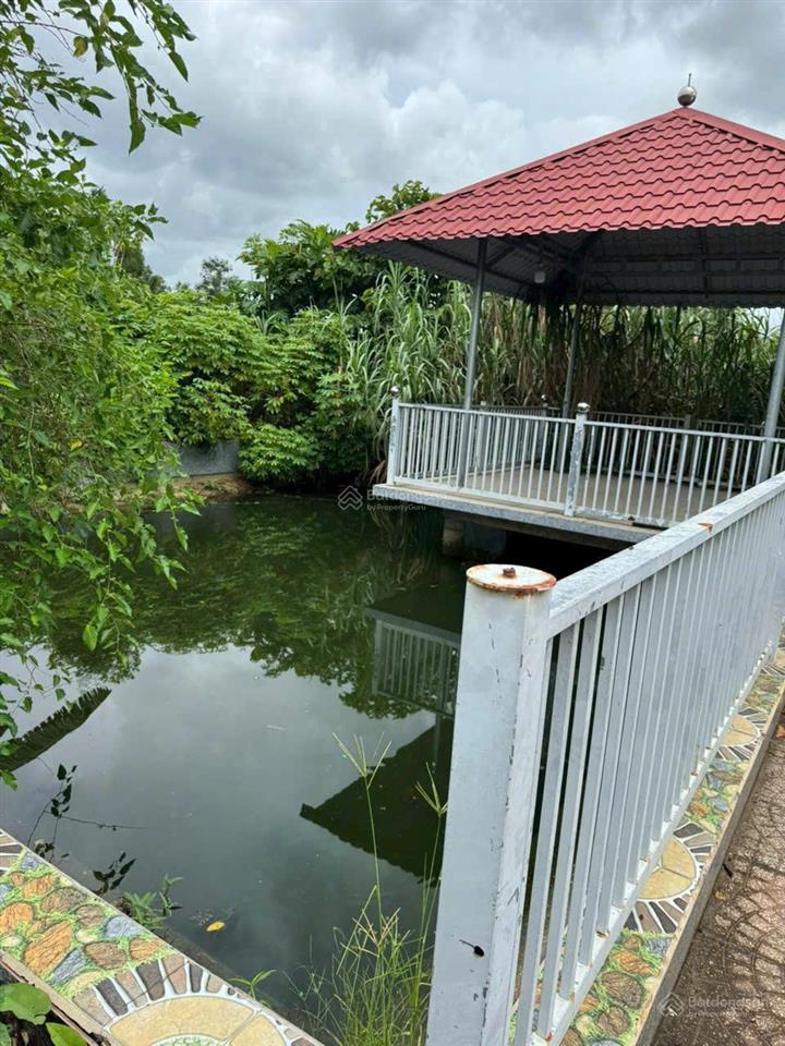 Bán nhà vườn an phú, củ chi diện tích 975m2 giá 5,5 tỷ