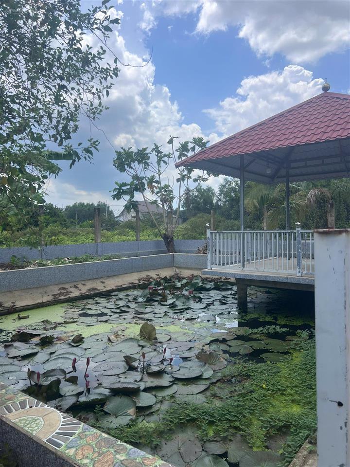 Bán nhà vườn an phú, củ chi diện tích 975m2 giá 5,5 tỷ