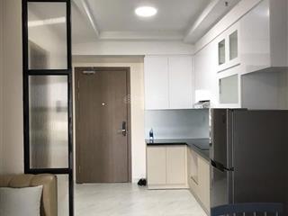 Cho thuê căn hộ chung cư 1pn, 6 triệu vnd, 42m2 tại happy one