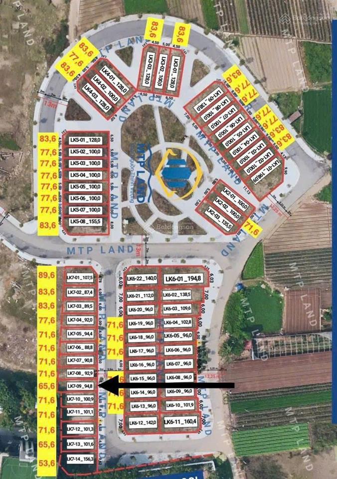 Đấu giá tráng việtgần cầu thượng cát  đang quy hoạch chợ hoa và chợ rau ngay sát cạnh.