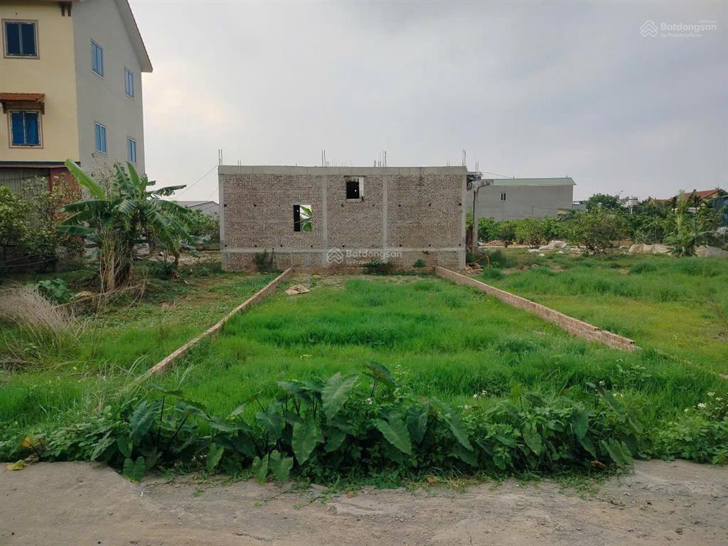 Chính chủ 43tr/m2 tại yên vinh, quang minh, hà nội. sát vành đai 4 và dự án sun group. full thổ cư