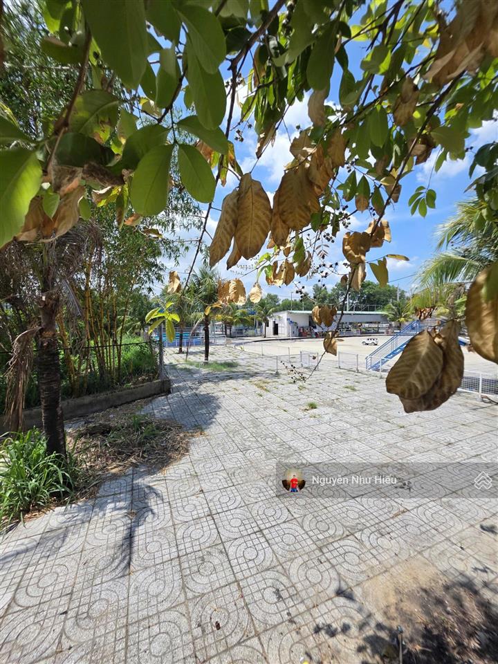 Bán đất kdc hố lang rẻ ngang 6m, gần đường liên huyện, p. tân bình, tp. dĩ an