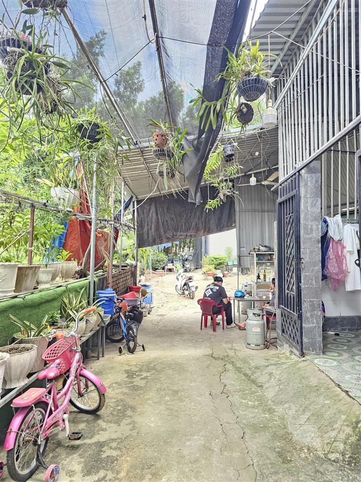 Bán đất gần đường liên huyện 200m p. tân bình tp. dĩ an
