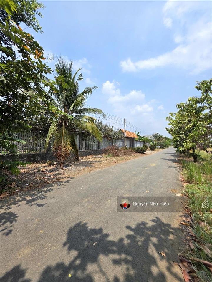 Bán đất cù lao 5,4 triệu/m2, xung quanh là sông, p. thạnh hội, tp. tân uyên