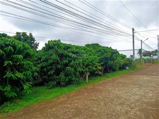 Bán lô đất 20x58m (1100m2) làm nhà siêu đẹp ngay trung tâm