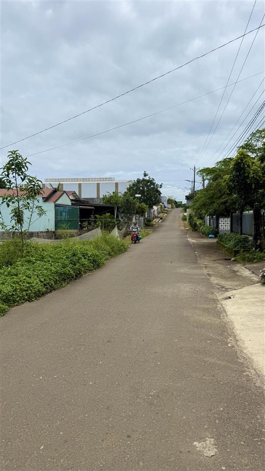 Bán đất tại phố lê phụng hiểu, 4,5 tỷ ngộp hạ chỉ còn 3,9 tỷ, 1100 m2, giá siêu tốt cho hiện tại