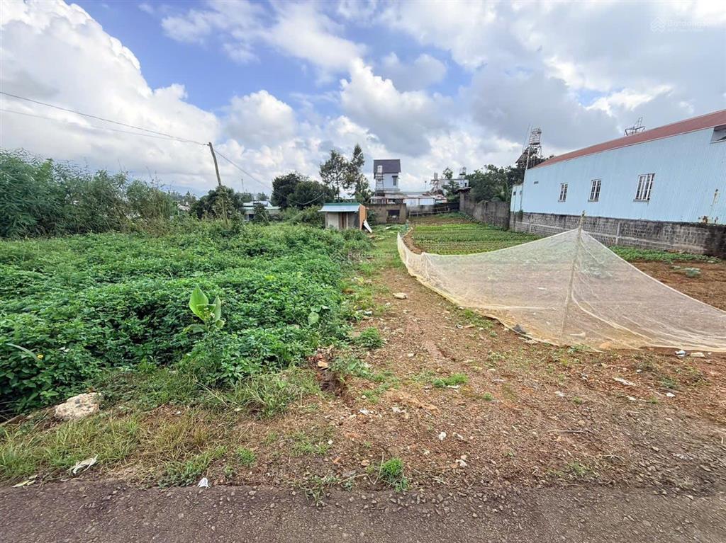 Bán đất tại phố lê phụng hiểu, 4,5 tỷ ngộp hạ chỉ còn 3,9 tỷ, 1100 m2, giá siêu tốt cho hiện tại