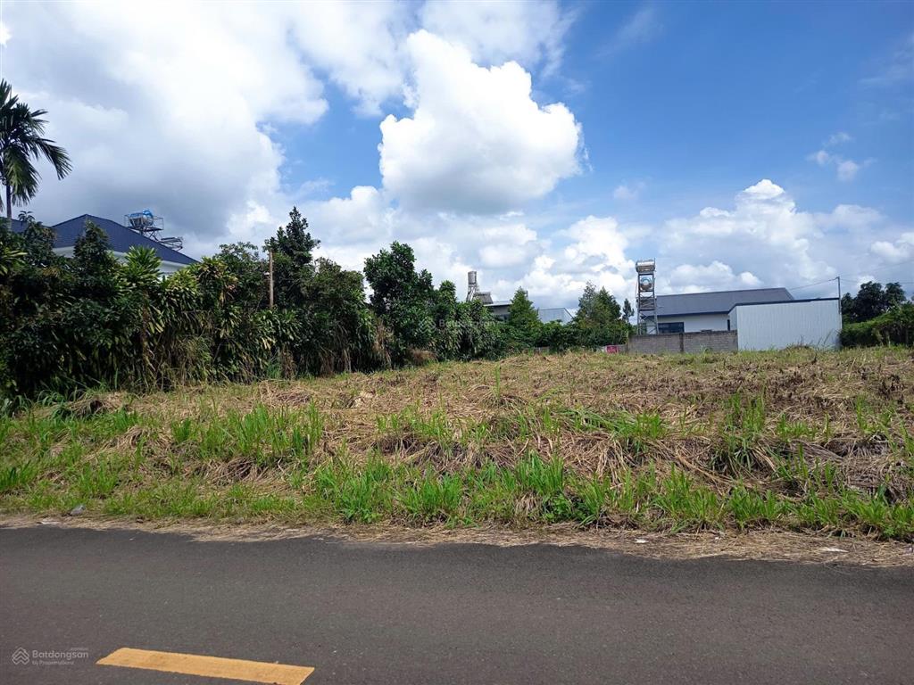 Bán đất tại lê phụng hiểu, 4,5 tỷ, 689 m2 ngang 15m dài 45m toàn bộ đất ở odt, pháp lý đầy đủ