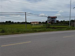 Bán đất mặt đường 298  cao xá, tân yên, bắc giang. 115m2  mt 5m. kd tốt. giá 3,4 tỷ