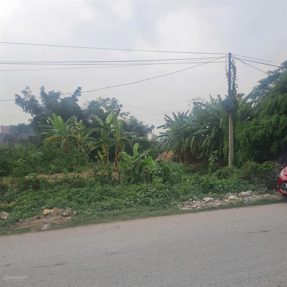 Bán đất đấu giá xuân phú, yên dũng, bắc giang  90m2  mt 5m. đường 32m giá 4 tỷ