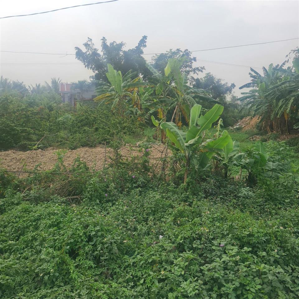 Bán đất đấu giá xuân phú, yên dũng, bắc giang  90m2  mt 5m. đường 32m giá 4 tỷ