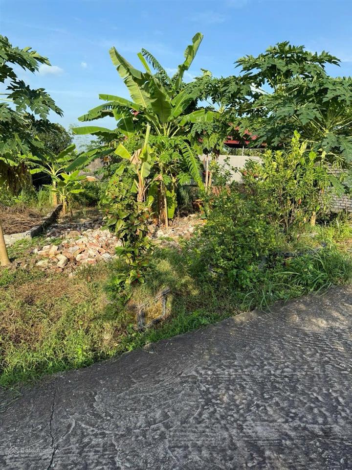 Bán đất 107m2 lô góc hai mặt tiền tại đồng việt, yên dũng, bắc giang. giá chỉ 690tr