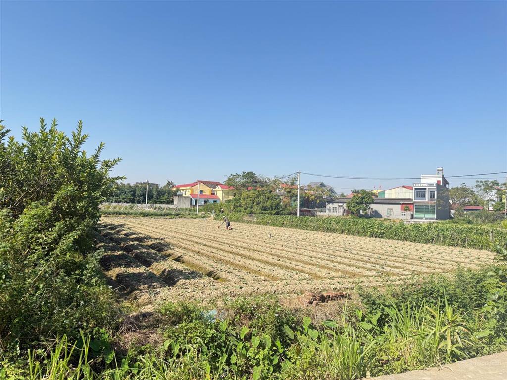 Bán lô đất ven kcn đức giang, yên dũng, bắc giang 85m2. mt 5,2m, đường ô tô chạy. giá 1,25 tỷ