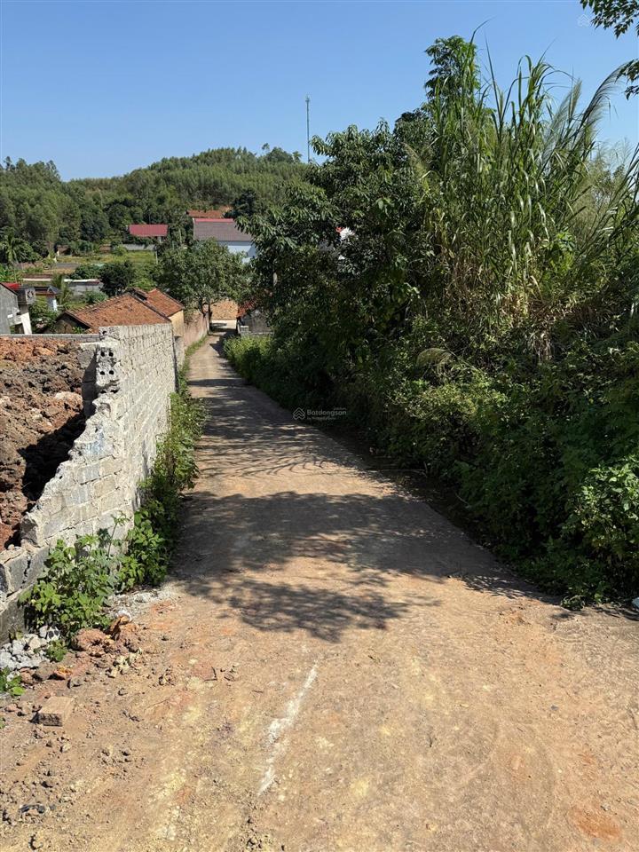Bán đất thượng tùng, yên dũng, bắc giang. 106m2 mt 6,3m. đường ô tô. giá 890 triệu