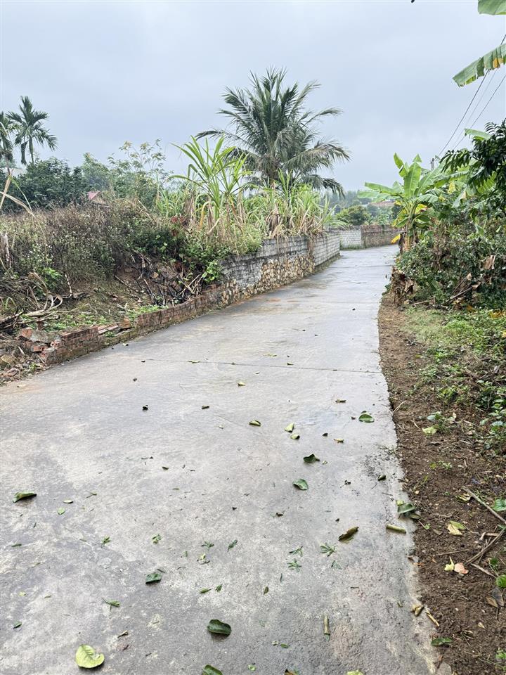 Bán đất đại lâm, lạng giang, bắc giang. 862m2 mt 47m. giá 3,4 tỷ