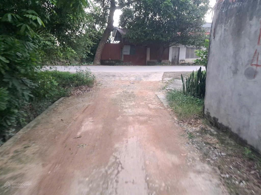 Bán đất ngọc vân, tân yên, bắc giang. 196m2  mặt tiền 7m. giá 1,5 tỷ