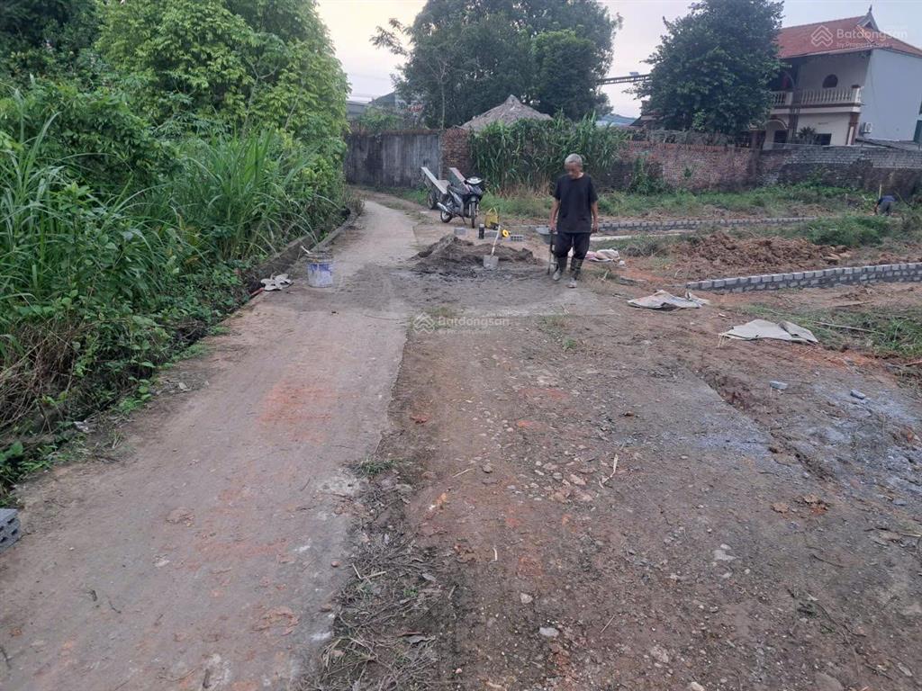 Bán đất ngọc vân, tân yên, bắc giang. 196m2  mặt tiền 7m. giá 1,5 tỷ