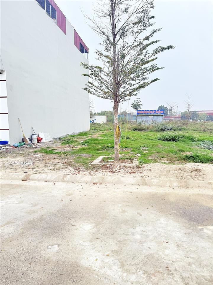 Bán đất đấu giá quang thịnh, lạng giang, bắc giang. 90m2 mặt tiền 6m. giá 1,3 tỷ