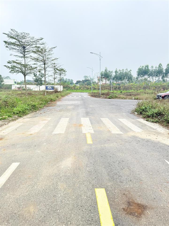 Bán đất đấu giá quang thịnh, lạng giang, bắc giang. 90m2  mặt tiền 6m. giá 1,3 tỷ