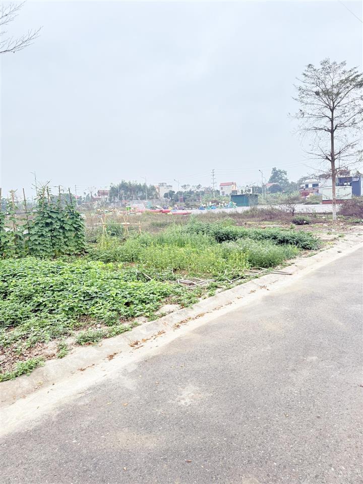 Bán đất đấu giá quang thịnh, lạng giang, bắc giang. 90m2  mặt tiền 6m. giá 1,3 tỷ