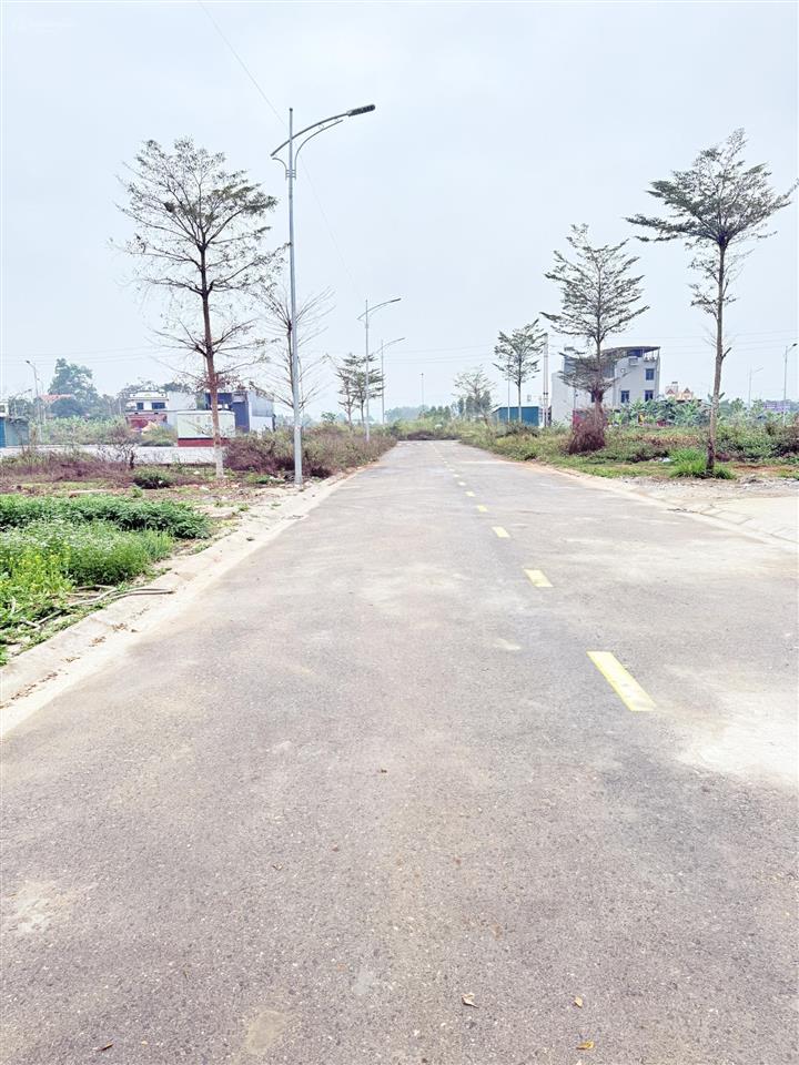 Bán đất đấu giá quang thịnh, lạng giang, bắc giang. 90m2  mặt tiền 6m. giá 1,3 tỷ