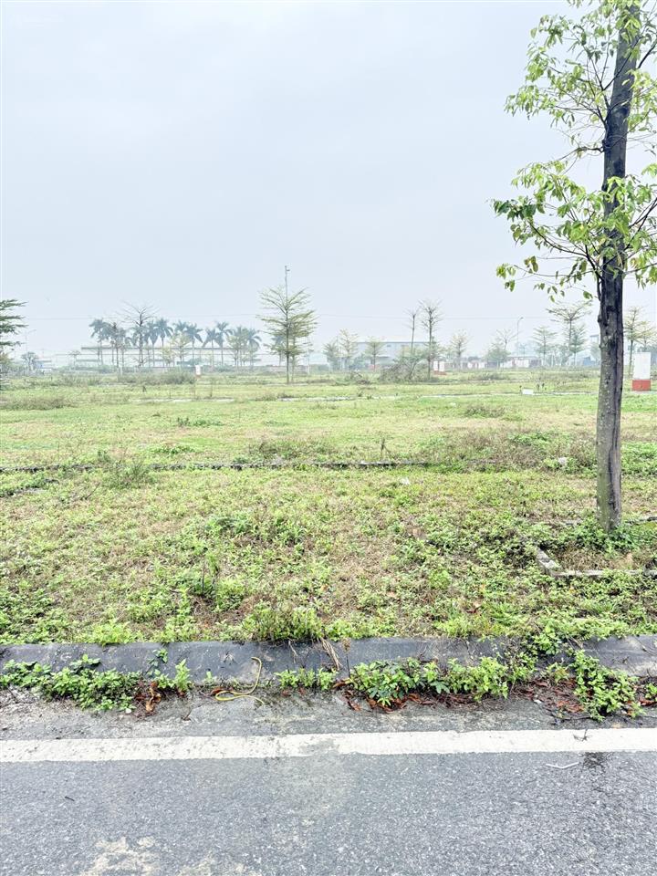 Bán đất tdp kiểu, phường bích động, thị xã việt yên, bắc giang. 81,6m2, mt 5,5m. giá 2,9 tỷ