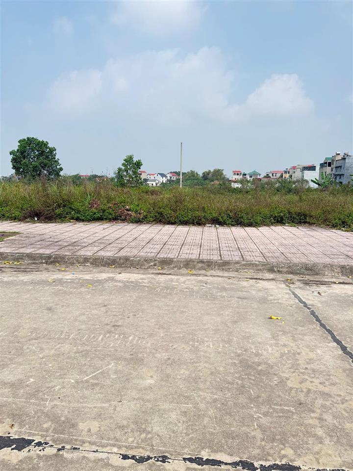 Bán đất việt ngọc, tân yên , bắc giang 120 m2  mt 6m. đường 20m. giá 2,1 tỷ