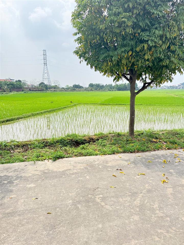 Bán đất việt ngọc, tân yên , bắc giang 120 m2  mt 6m. đường 20m. giá 2,1 tỷ