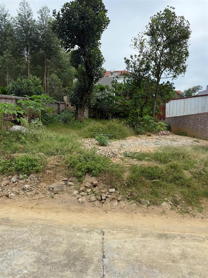 Bán đất thổ cư quỳnh sơn, yên dũng, bắc giang 103 m2  mt 4,5m. giá 780 triệu