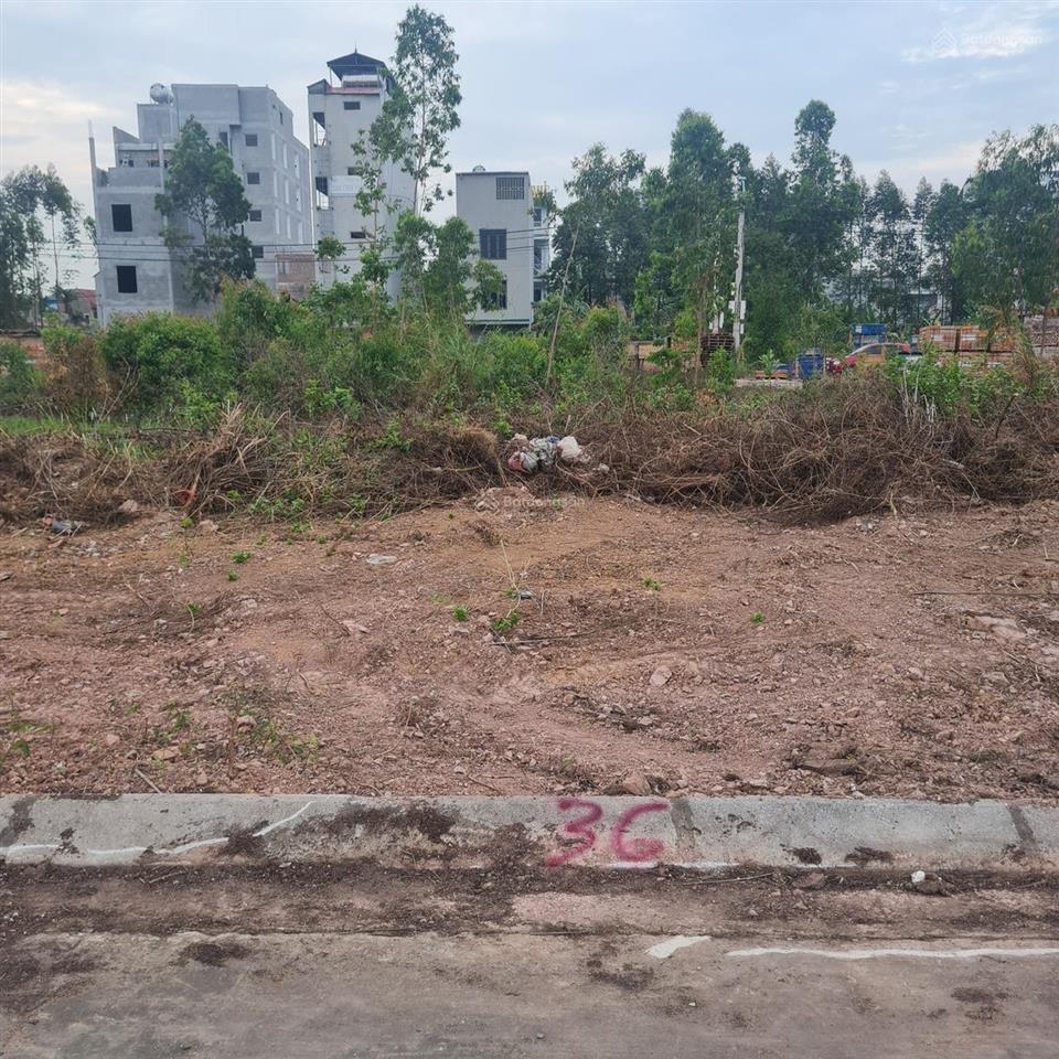 Bán đất khu đô thị dịch vụ nội hoàng, yên dũng, bắc giang. 72m2, mt 4,5m. đường 12m. giá 2,5 tỷ