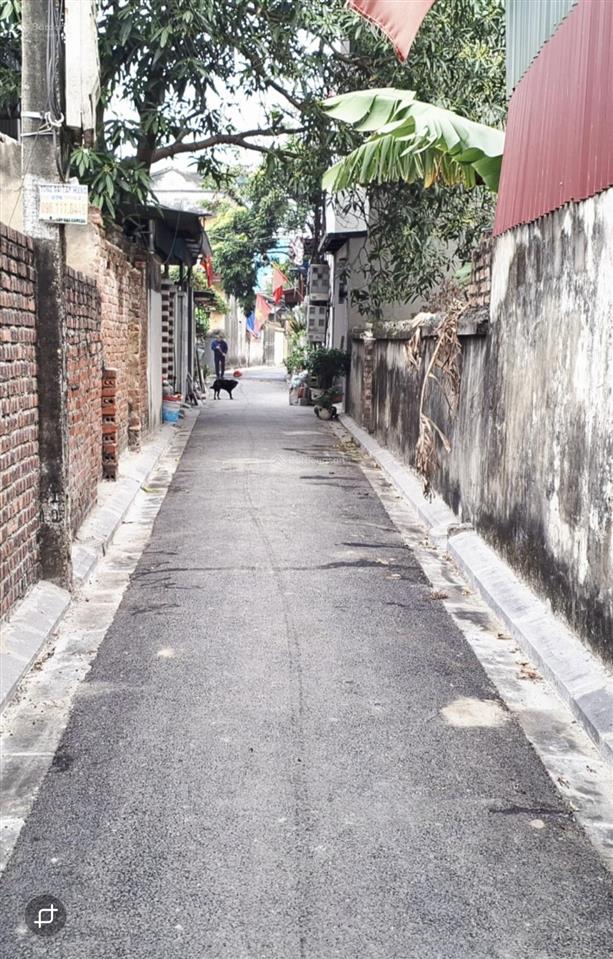 Bán đất thổ cư 55.2m² tại thôn mai hiên, xã mai lâm (cũ), đông anh  cơ hội đầu tư hấp dẫn