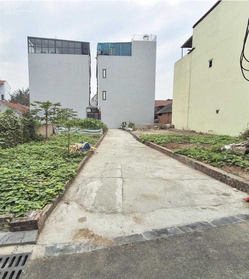 Bán đất thổ cư 55.2m² tại thôn mai hiên, xã mai lâm (cũ), đông anh  cơ hội đầu tư hấp dẫn