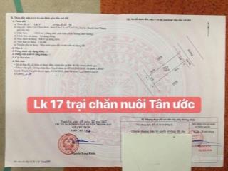 100m, đất đg trại chăn nuôi tân ước, với siêu phẩm vip 2 mặt đường, vỉa hè ô tô tránh, trục chín